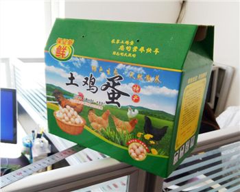 甘肅(sù)雞蛋紙箱